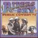 Public Cowboy #1: the Music of Gene Autry