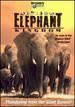 Africa's Elephant Kingdom (Large Format) [Dvd]
