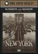 New York Sunshine and Shadow-Episode 3 (1865-1898)