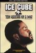 Ice Cube-Making of a Don