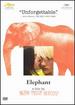 Elephant (Dvd)
