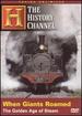 When Giants Roamed: the Golden Age of Steam (the History Channel) [Dvd]