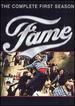 Fame-the Complete First Season