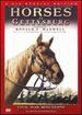 Horses of Gettysburg-Civil War Minutes IV Box Set (2 Dvd)