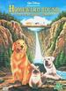 Homeward Bound: The Incredible Journey