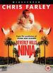 Beverly Hills Ninja-Master of Disaster: Beverly Hills Ninja-Master of Disaster