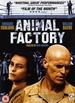 Animal Factory [Dvd] [2003]