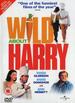 Wild About Harry (2000) [Dvd]
