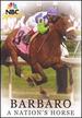 Barbaro-a Nation's Horse