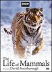 The Life of Mammals [Dvd]