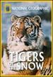 National Geographic's Tigers of the Snow [Vhs]