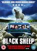 Black Sheep [2007] [Dvd]
