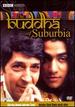 Buddha of Suburbia, the (1993) (Dvd)