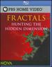Fractals: Hunting the Hidden Dimension [Blu-Ray]