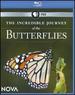 Nova: the Incredible Journey of the Butterflies [Blu-Ray]