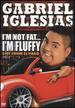 Gabriel Iglesias: I'M Not Fat I'M Fluffy