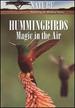 Nature: Hummingbirds-Magic in the Air