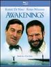 Awakenings [Dvd] [1991]