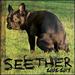 Seether: 2002-2013 [2 Cd]