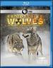 Nature: Radioactive Wolves [Blu-Ray]