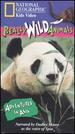 National Geographic's Really Wild Animals: Adventures in Asia