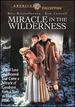 Miracle in the Wilderness