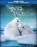 To the Arctic [2 Discs] [Includes Digital Copy] [UltraViolet] [3D] [Blu-ray/DVD]