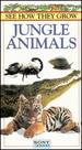 See How They Grow: Jungle Animals [Vhs]