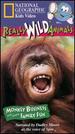 National Geographic's Really Wild Animals: Monkey Business and Other Family