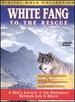 White Fang to the Rescue