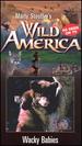 Marty Stouffer's Wild America-Wacky Babies