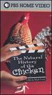 The Natural History of the Chicken [Vhs]