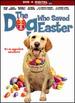The Dog Who Saved Easter (Dvd)