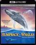 Imax: Humpback Whales [Blu-Ray]