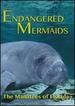 Endangered Mermaids: the Manatees of Florida