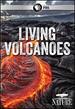 Nature: Living Volcanoes Dvd
