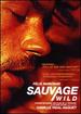 Sauvage / Wild