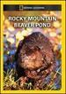 Rocky Mountain Beaver Pond