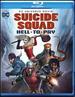 Dcu: Suicide Squad: Hell to Pay (Blu-Ray)