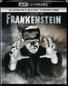 Frankenstein (Universal Studios Classic Monster Collection)