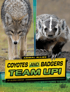 Coyotes and Badgers Team Up!