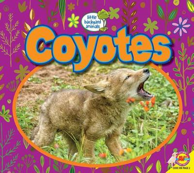 Coyotes - Willis, John, Professor