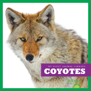 Coyotes