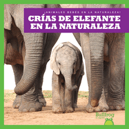 Cr?as de Elefante En La Naturaleza (Elephant Calves in the Wild)