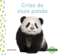 Cr?as de Osos Panda (Panda Cubs)