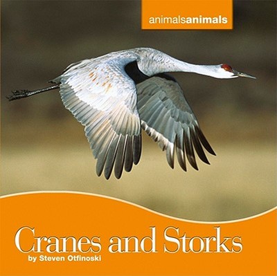 Cranes and Storks - Otfinoski, Steven