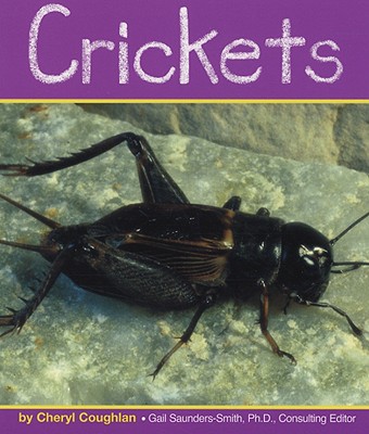 Crickets - Coughlan, Cheryl