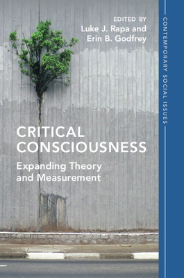 Critical Consciousness - Rapa, Luke J (Editor), and Godfrey, Erin B (Editor)