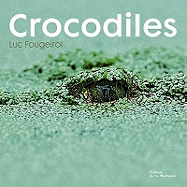 Crocodiles