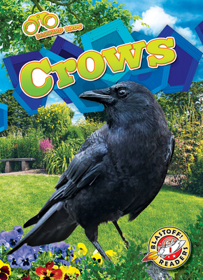 Crows - Barnes, Rachael